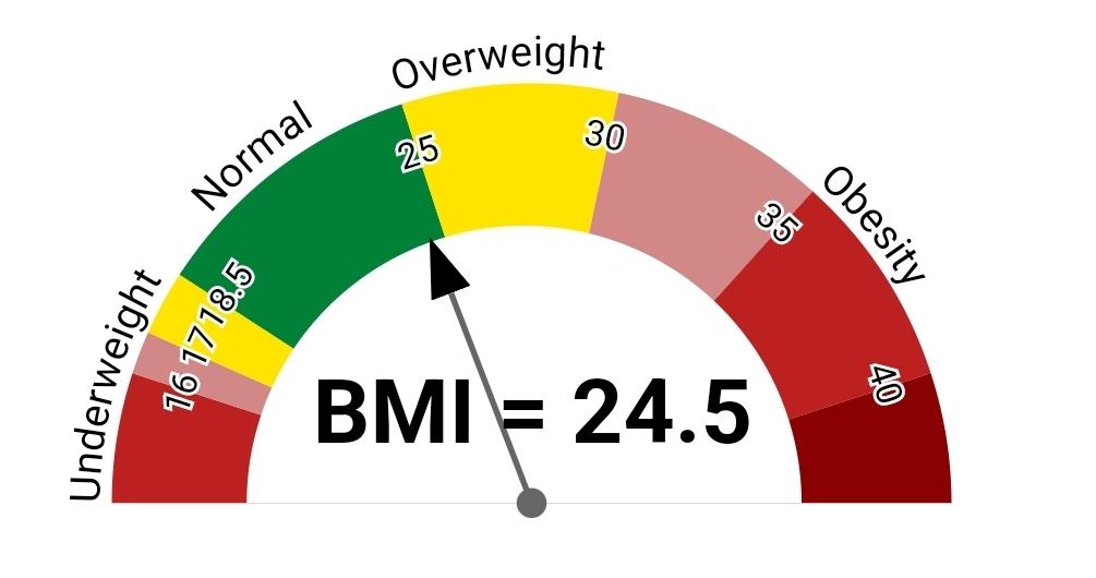 BMI Calculator Online Calculate