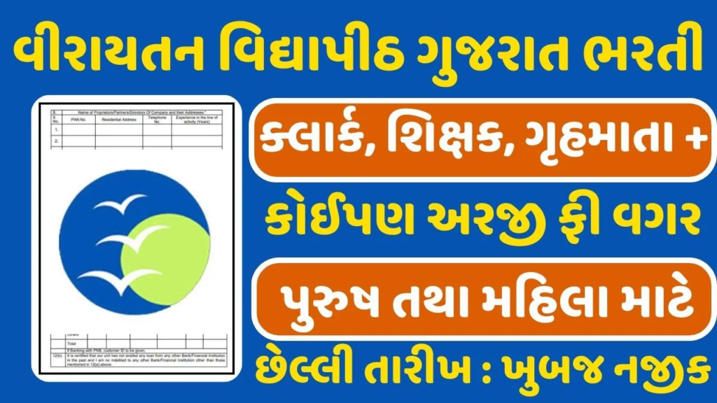 Veerayatan Vidyapeeth Gujarat Recruitment 2024