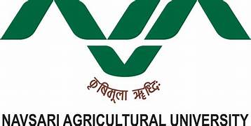 NAU Recruitment for Technical Assistant