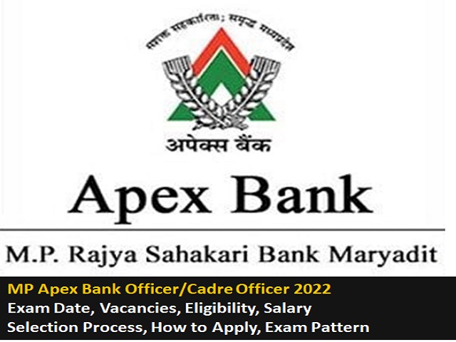 MP Apex Bank Recruitment 2024