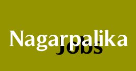 Borsad Nagarpalika Recruitment