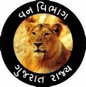 Gujarat Forest Guard Result