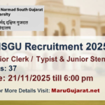 VNSGU Recruitment 2025